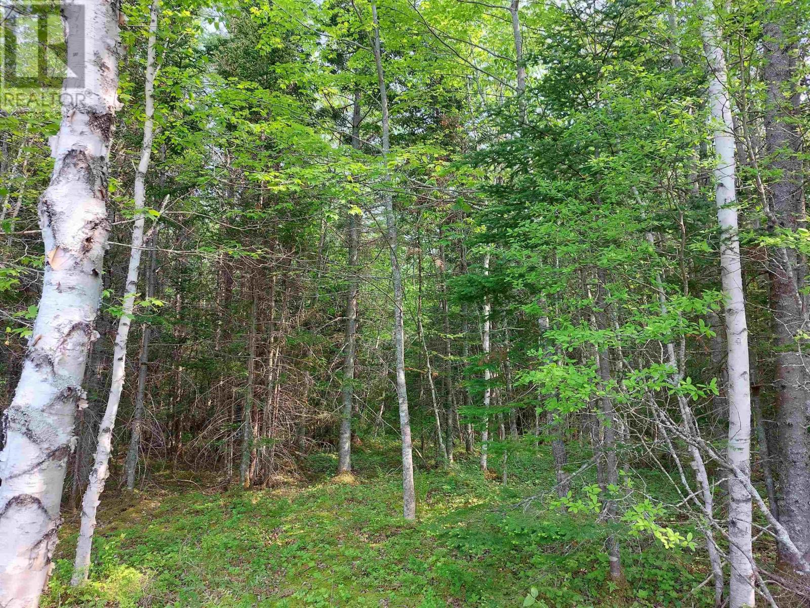 Lot 8 Beaver Lane, Grantville, Nova Scotia  B0E 1J0 - Photo 12 - 202423838