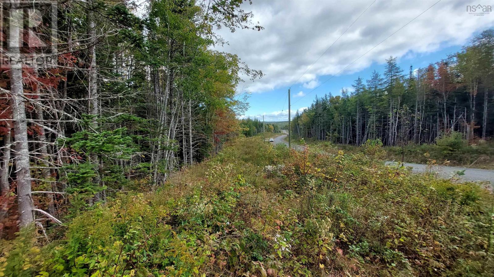 Lot 8 Beaver Lane, Grantville, Nova Scotia  B0E 1J0 - Photo 5 - 202423838