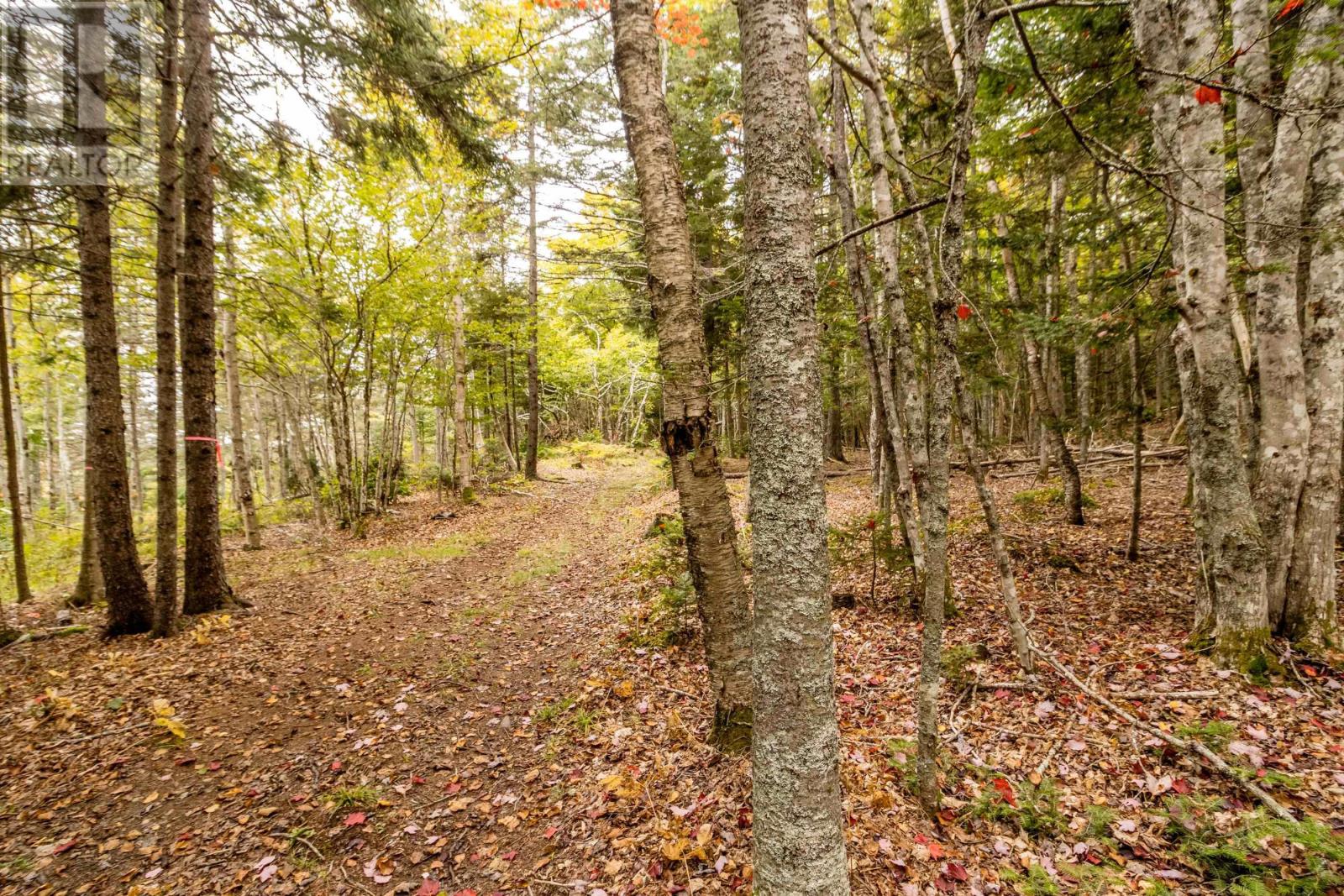 745 Ross Creek Road, Ross Creek, Nova Scotia  B0P 1H0 - Photo 45 - 202423910