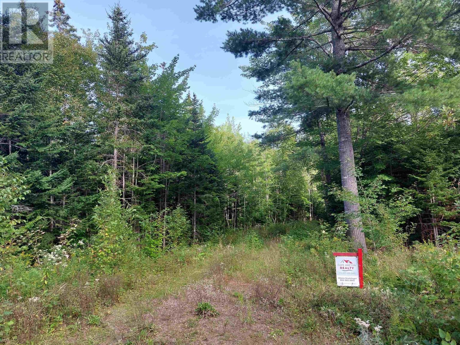 Lot 50 Redbird Dr., Malagawatch, Nova Scotia  B0E 2Y0 - Photo 7 - 202424011