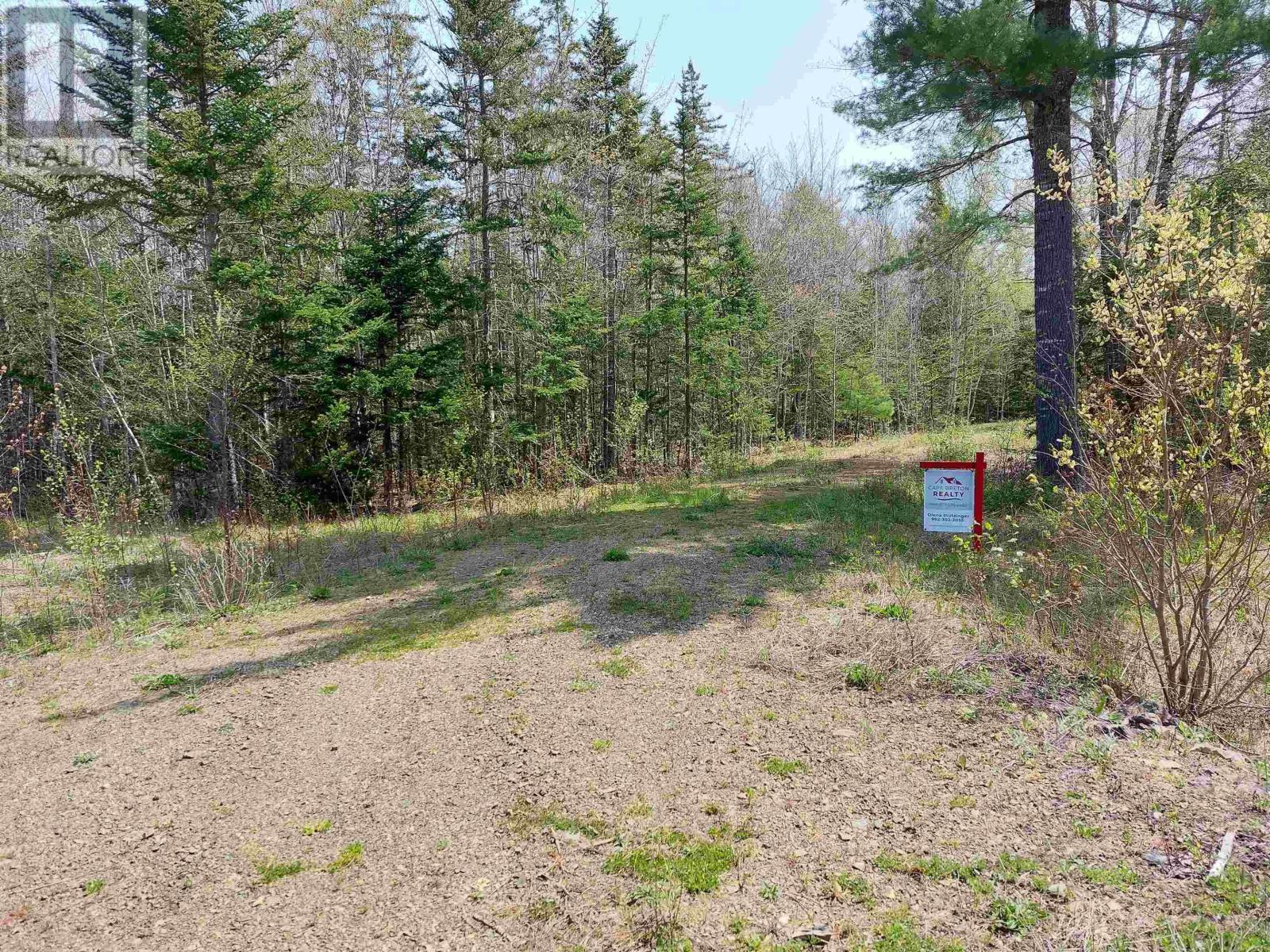 Lot 50 Redbird Dr., Malagawatch, Nova Scotia  B0E 2Y0 - Photo 8 - 202424011