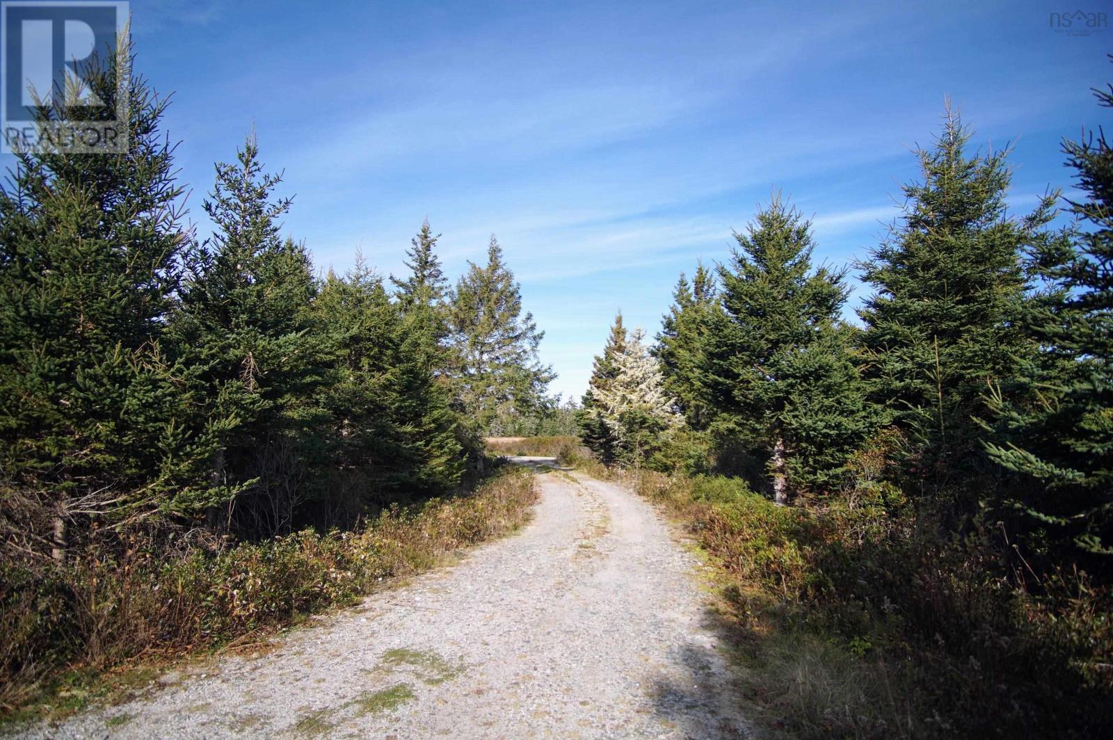 220 Seaside Drive Drive, Louis Head, Nova Scotia  B0T 1V0 - Photo 19 - 202424024