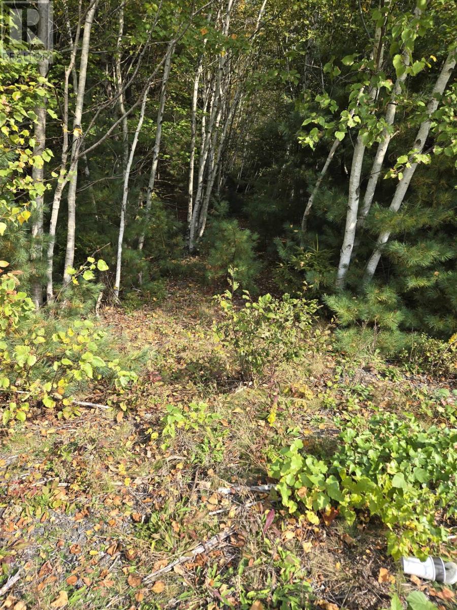 Lot 11 Lower Branch Road, lower branch, Nova Scotia