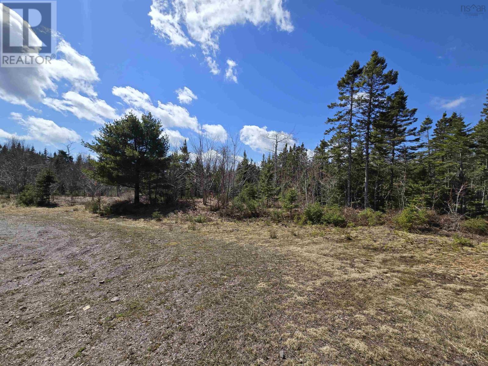 Lot 12 Hill Street, French Cove, Nova Scotia  B0E 3B0 - Photo 15 - 202424108