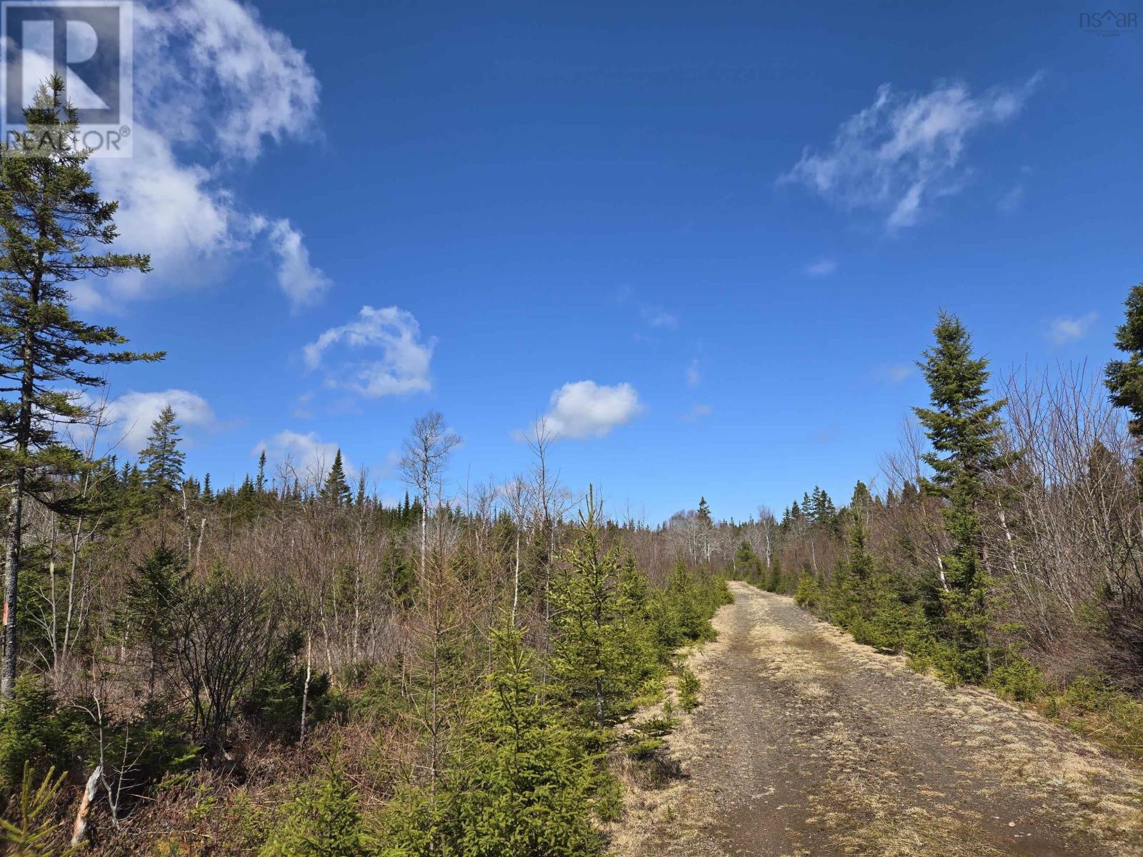 Lot 12 Hill Street, French Cove, Nova Scotia  B0E 3B0 - Photo 16 - 202424108