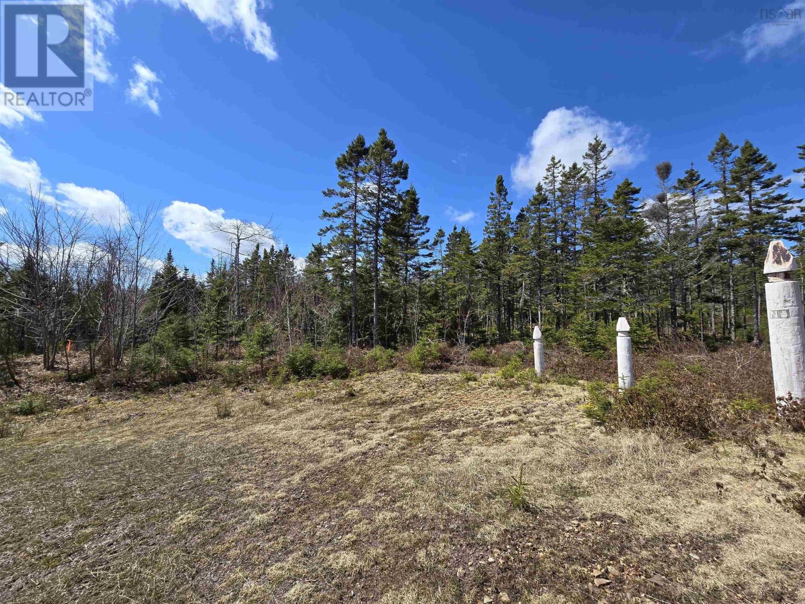 Lot 12 Hill Street, French Cove, Nova Scotia  B0E 3B0 - Photo 17 - 202424108