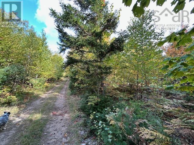 Lot Woodstock Road, Walden, Nova Scotia  B0J 2E0 - Photo 1 - 202424132