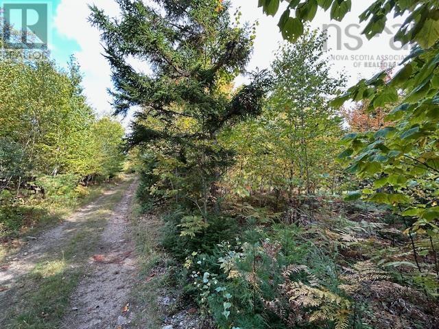 Lot Woodstock Road, Walden, Nova Scotia  B0J 2E0 - Photo 2 - 202424132