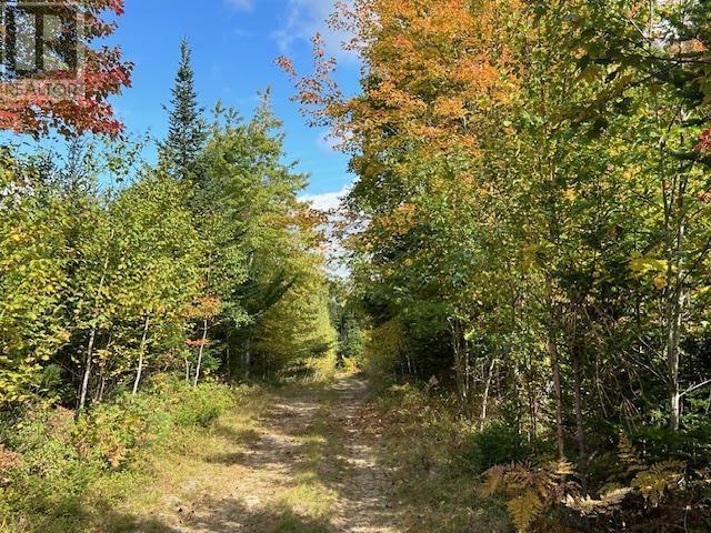 Lot Woodstock Road, Walden, Nova Scotia  B0J 2E0 - Photo 4 - 202424132