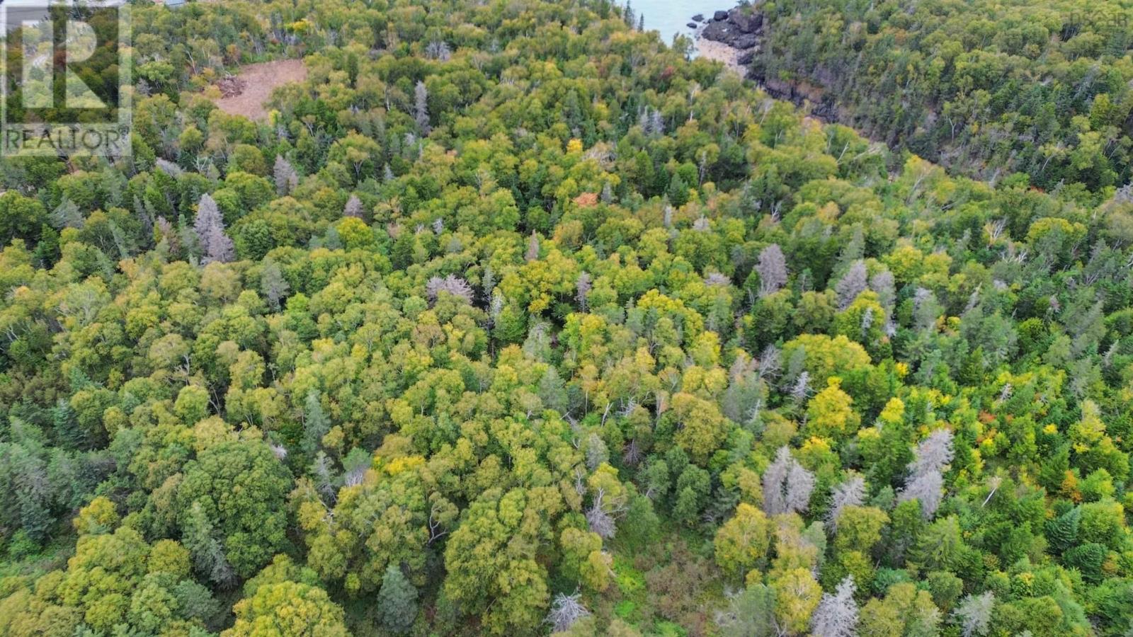 Lot Old Baxter Mill Road, Baxters Harbour, Nova Scotia  B0P 1H0 - Photo 4 - 202424134