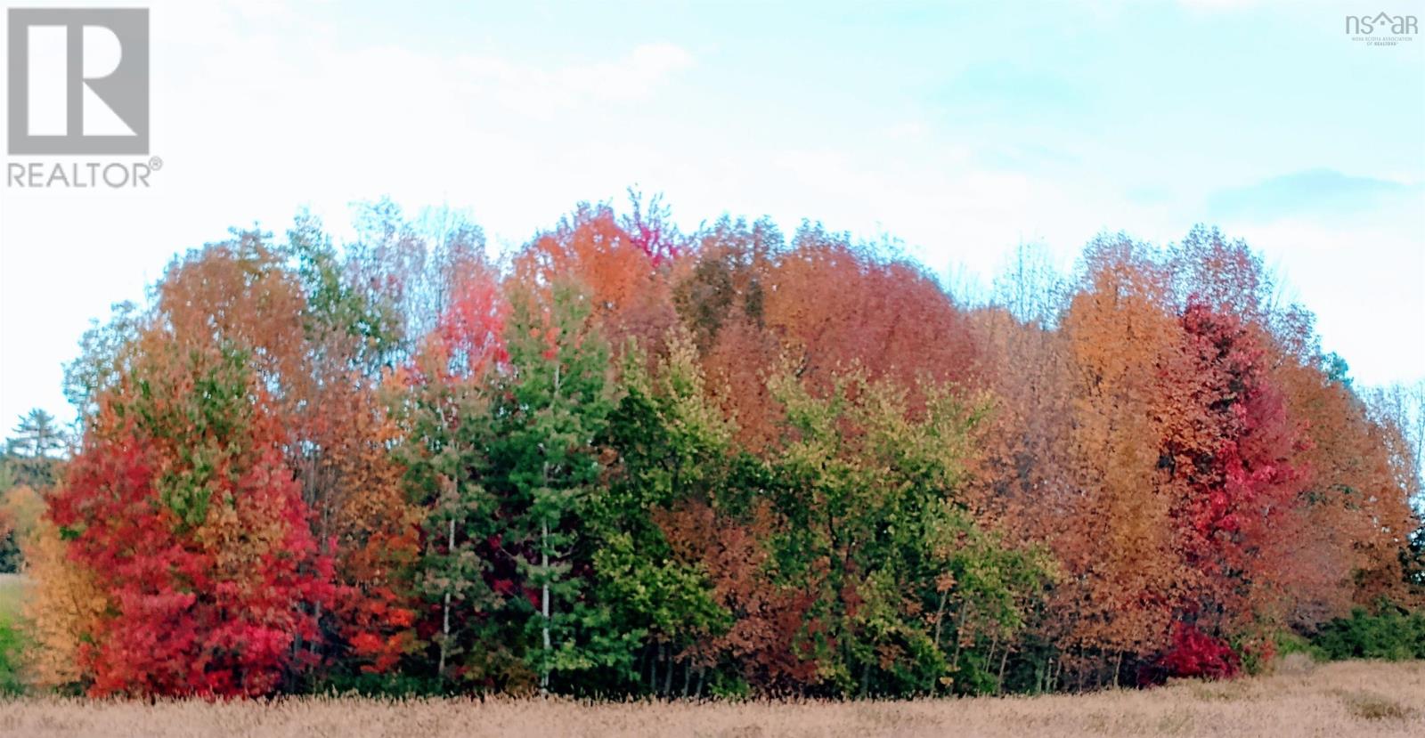 Lot(s) Havre Boucher (Simons) Road, frankville, Nova Scotia