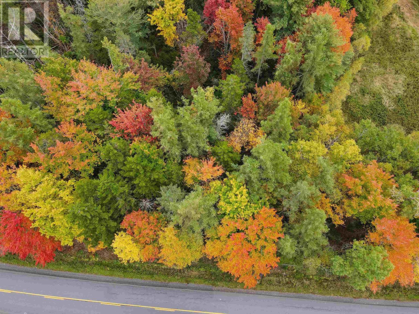 Lot Brooklyn Street, Somerset, Nova Scotia  B0P 1E0 - Photo 8 - 202424231