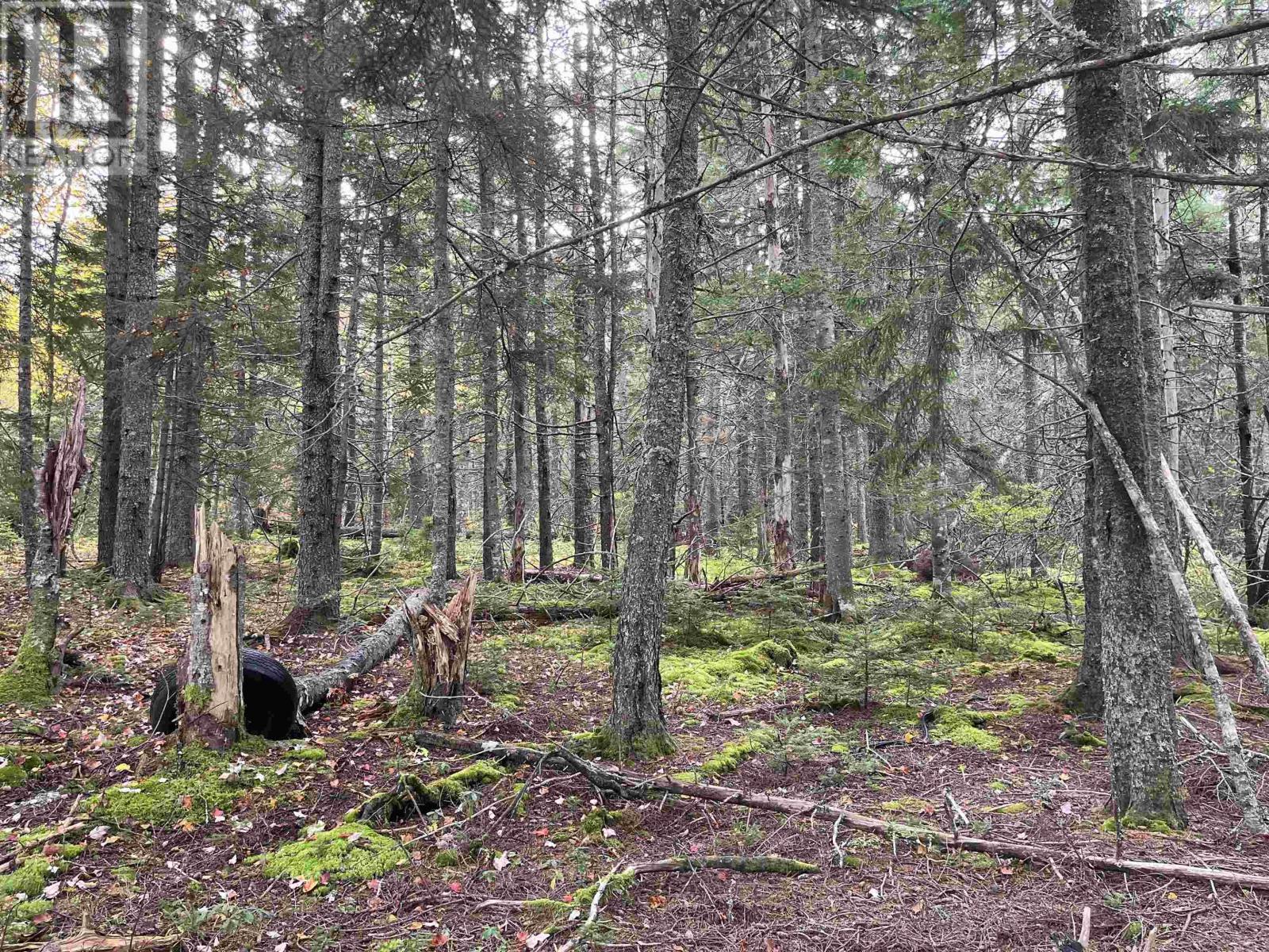 2970 Apple River Road, Apple River, Nova Scotia  B0M 1S0 - Photo 10 - 202424259