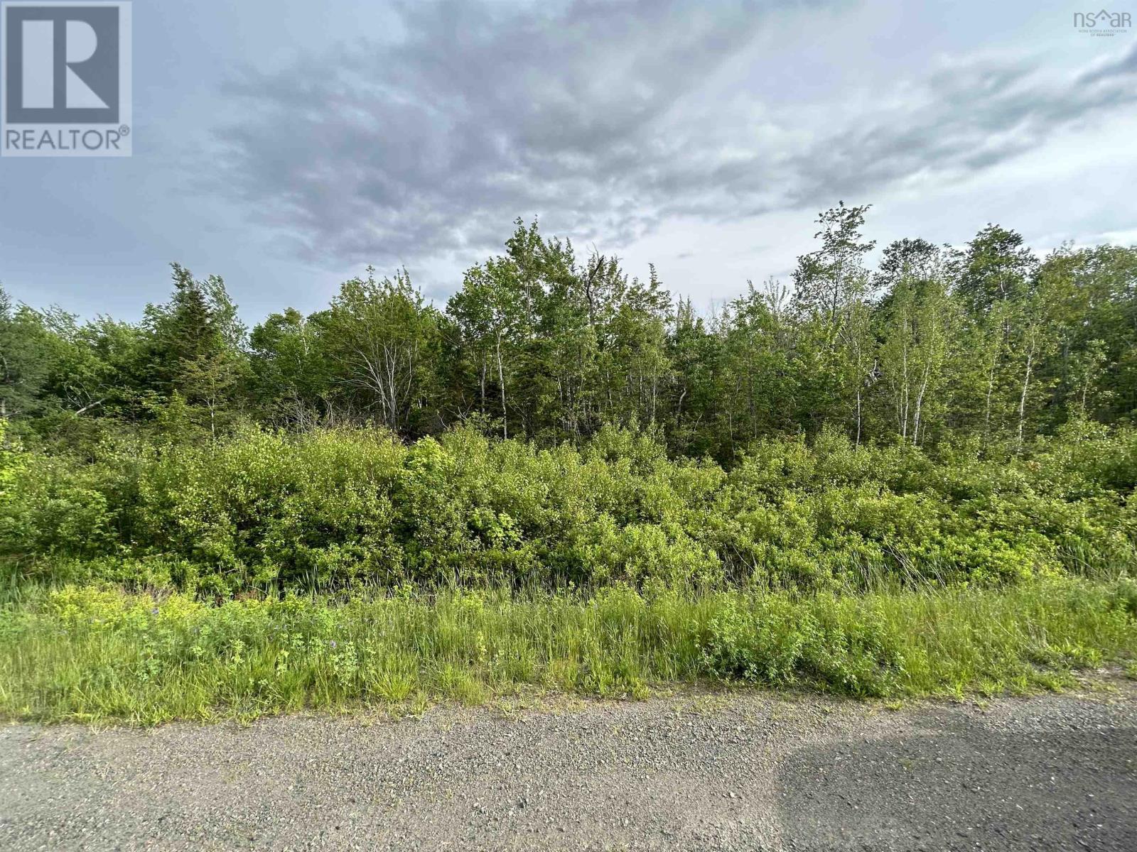 No 104 Highway, Wentworth, Nova Scotia  B0M 1X0 - Photo 2 - 202424283