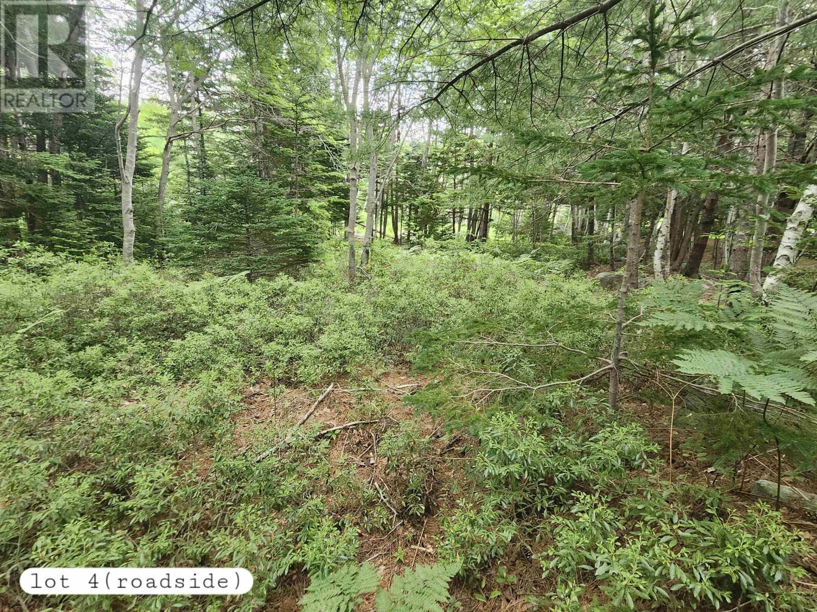 216 Hartz Point Road, Hartz Point, Nova Scotia  B0T 1W0 - Photo 19 - 202424316