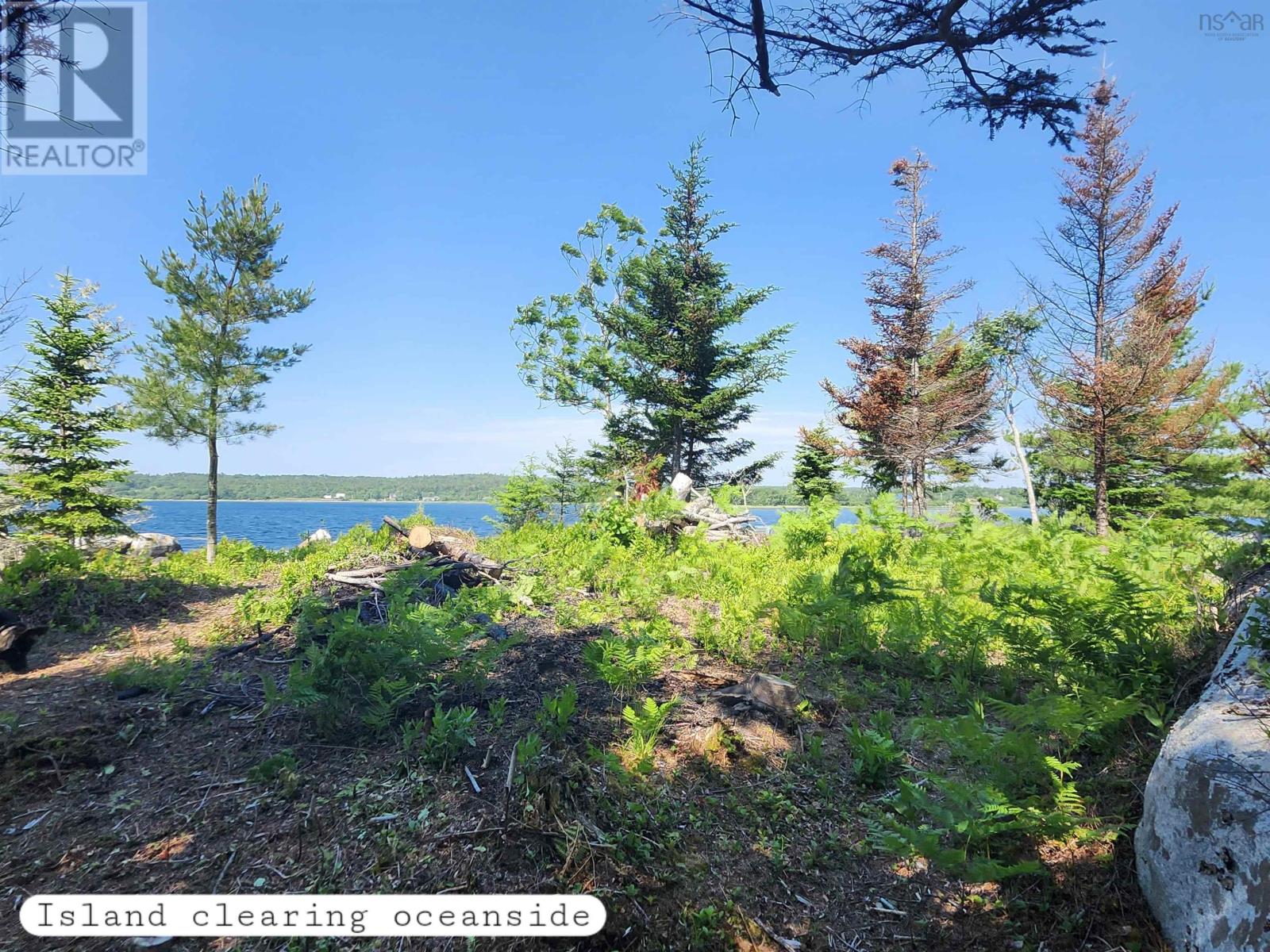 216 Hartz Point Road, Hartz Point, Nova Scotia  B0T 1W0 - Photo 32 - 202424316