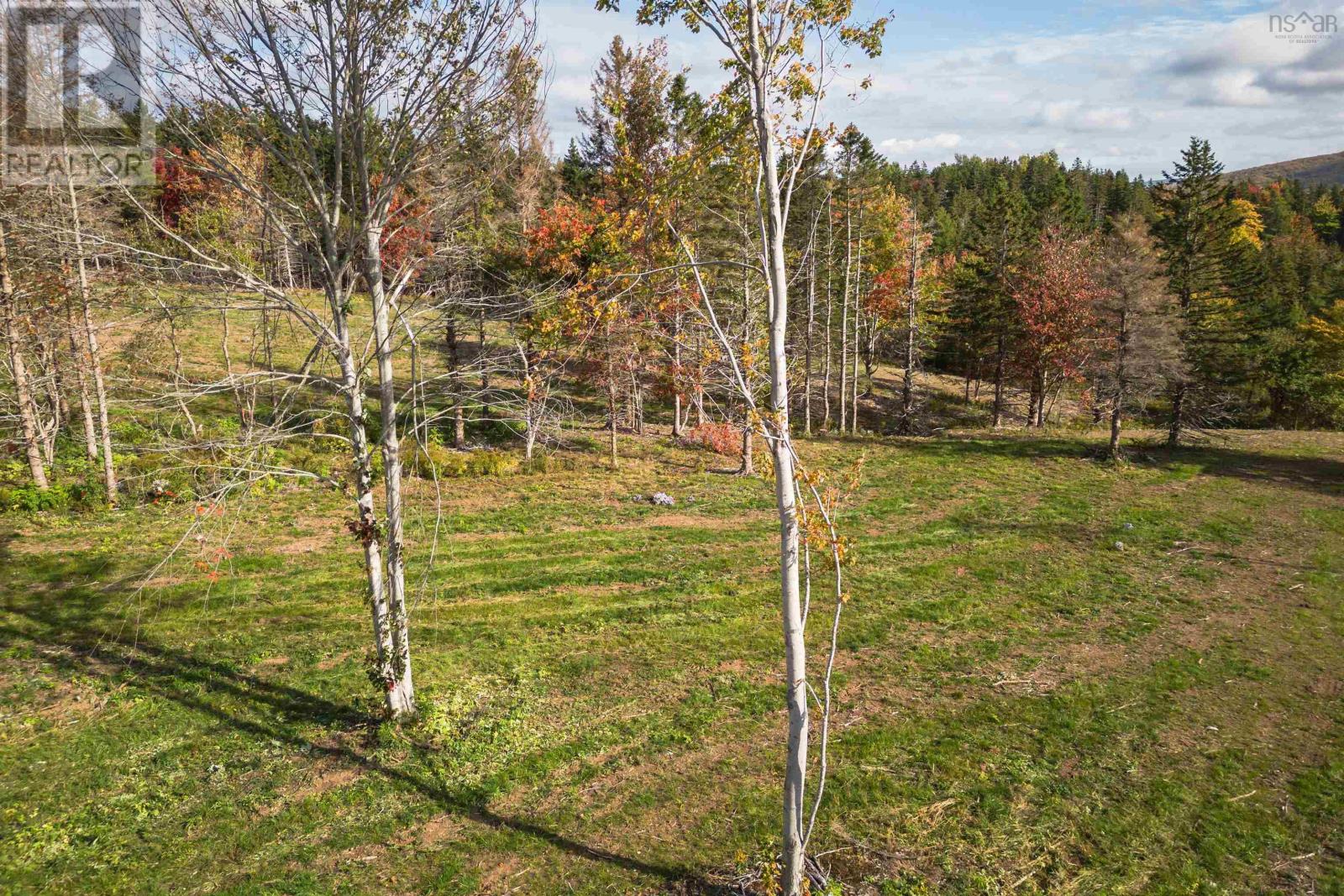 Lot 2 Highway 19, Hawleys Hill, Mabou, Nova Scotia  B0E 1X0 - Photo 9 - 202424379