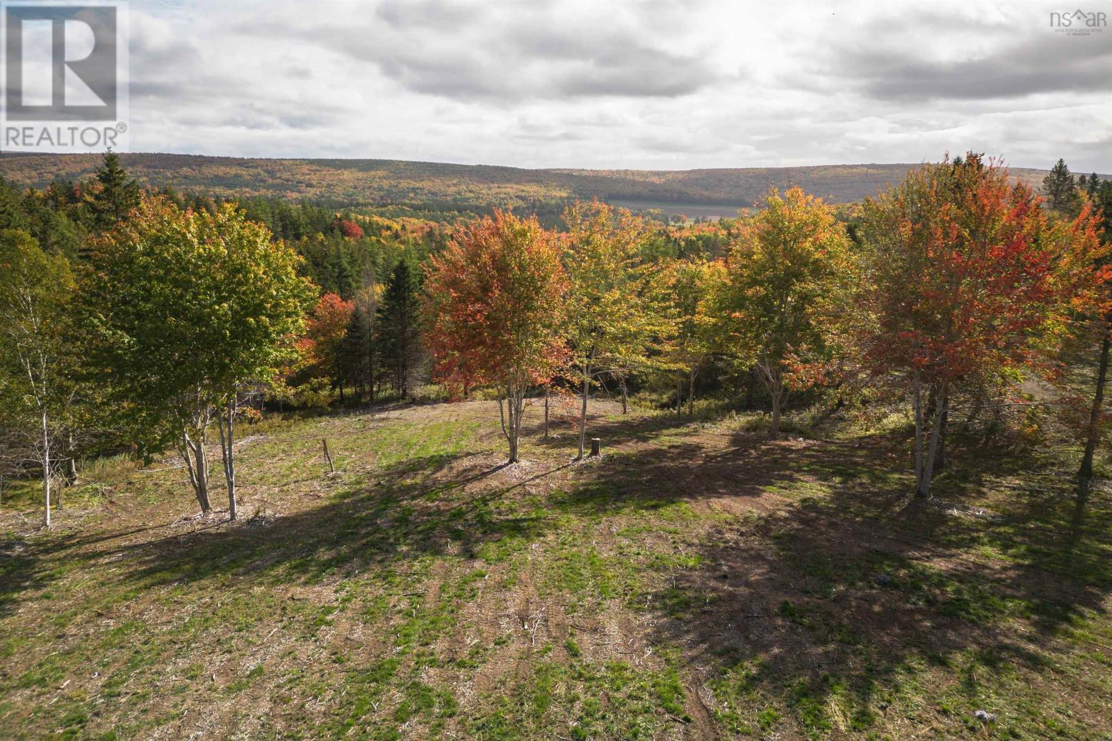 Lot 3 Highway 19, Hawleys Hill, Mabou, Nova Scotia  B0E 1X0 - Photo 9 - 202424380