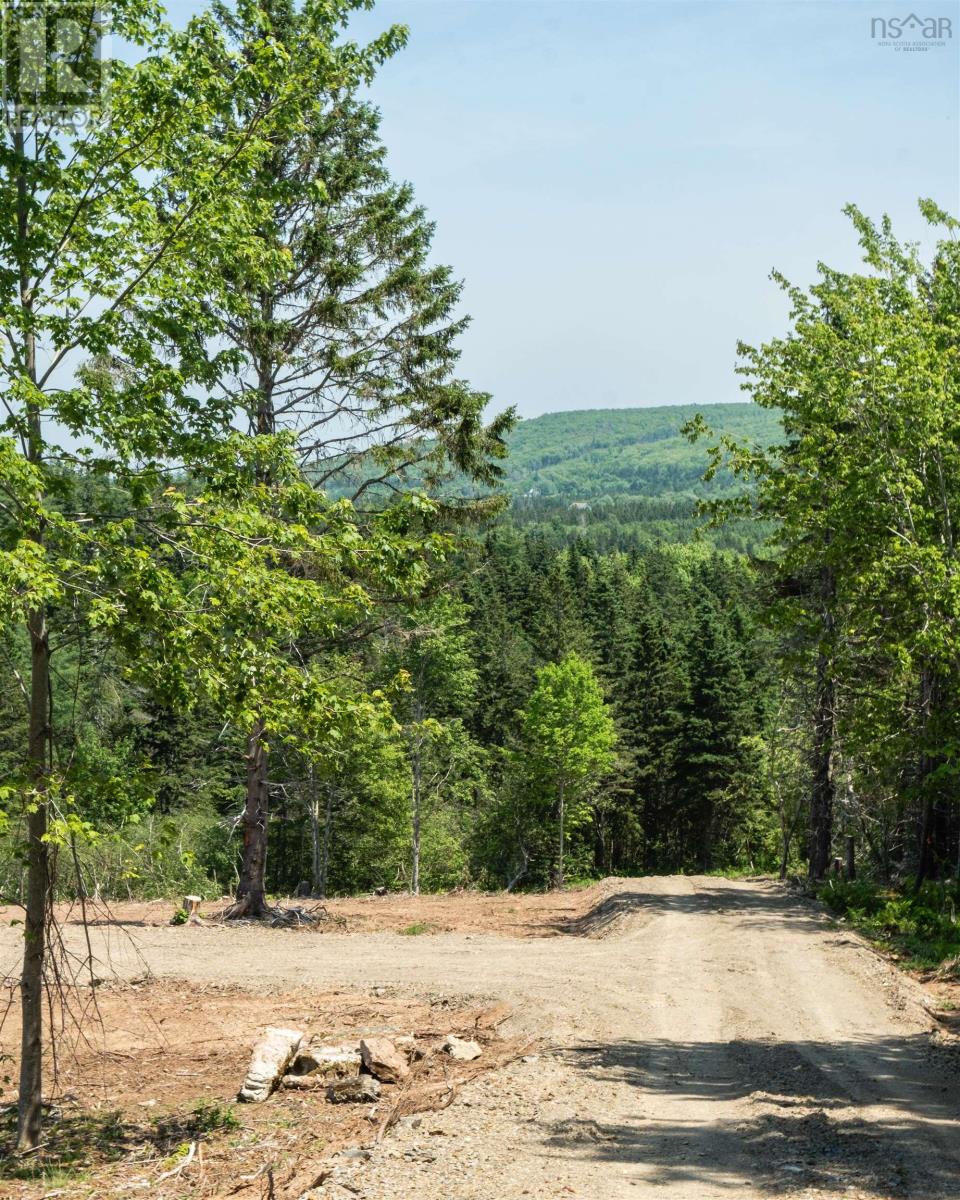 Lot 4 Highway 19, Hawleys Hill, Mabou, Nova Scotia  B0E 1X0 - Photo 12 - 202424381