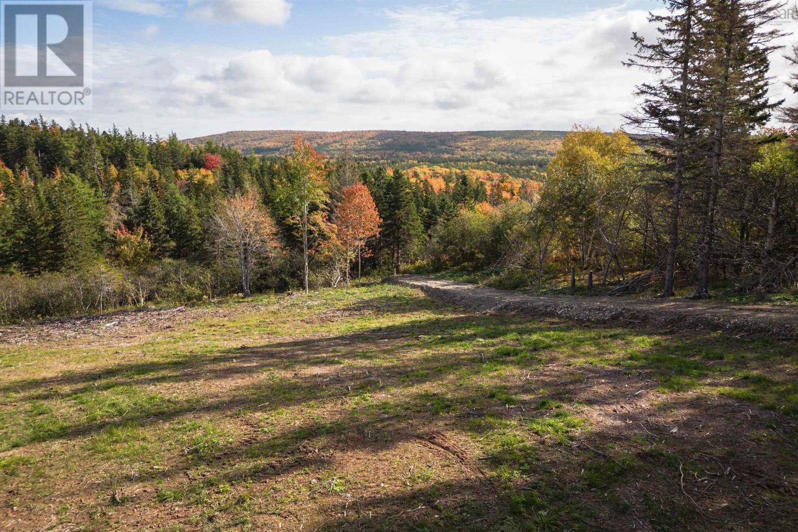 Lot 4 Highway 19, Hawleys Hill, Mabou, Nova Scotia  B0E 1X0 - Photo 8 - 202424381