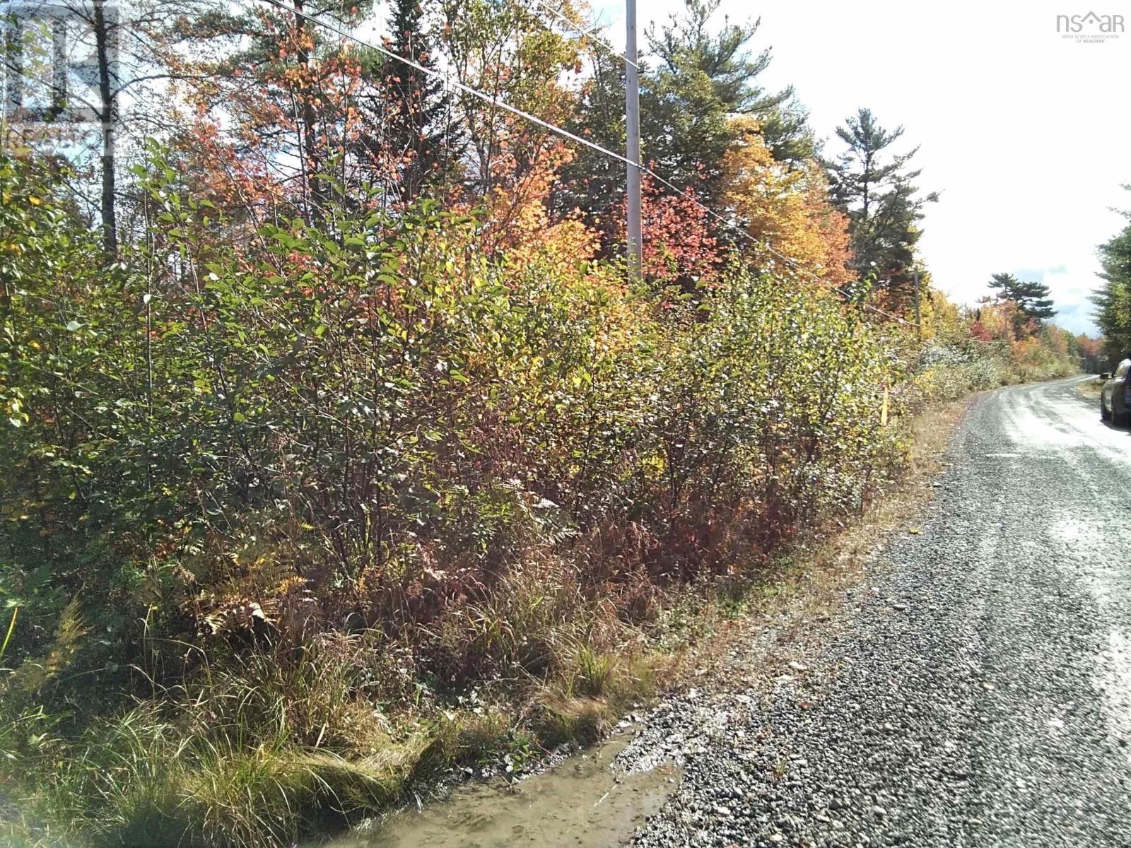 East Clifford Road, East Clifford, Nova Scotia  B4V 1Y7 - Photo 2 - 202424391