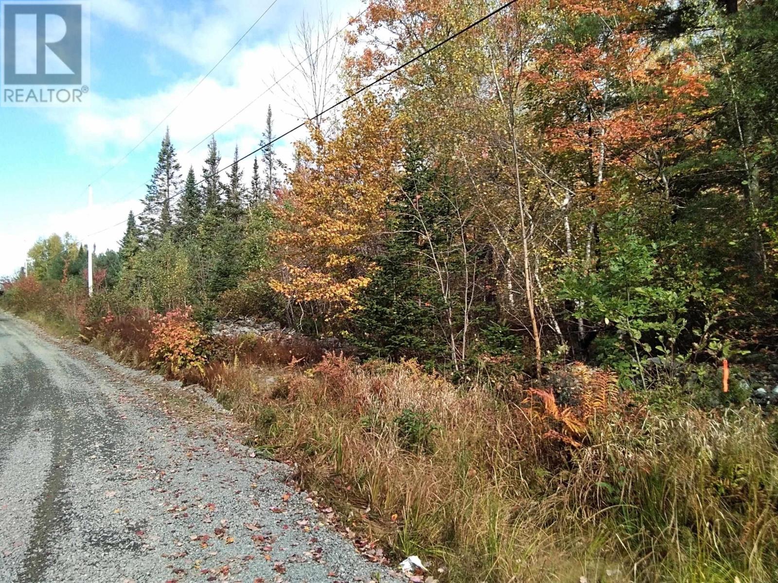 East Clifford Road, East Clifford, Nova Scotia  B4V 1Y7 - Photo 8 - 202424403