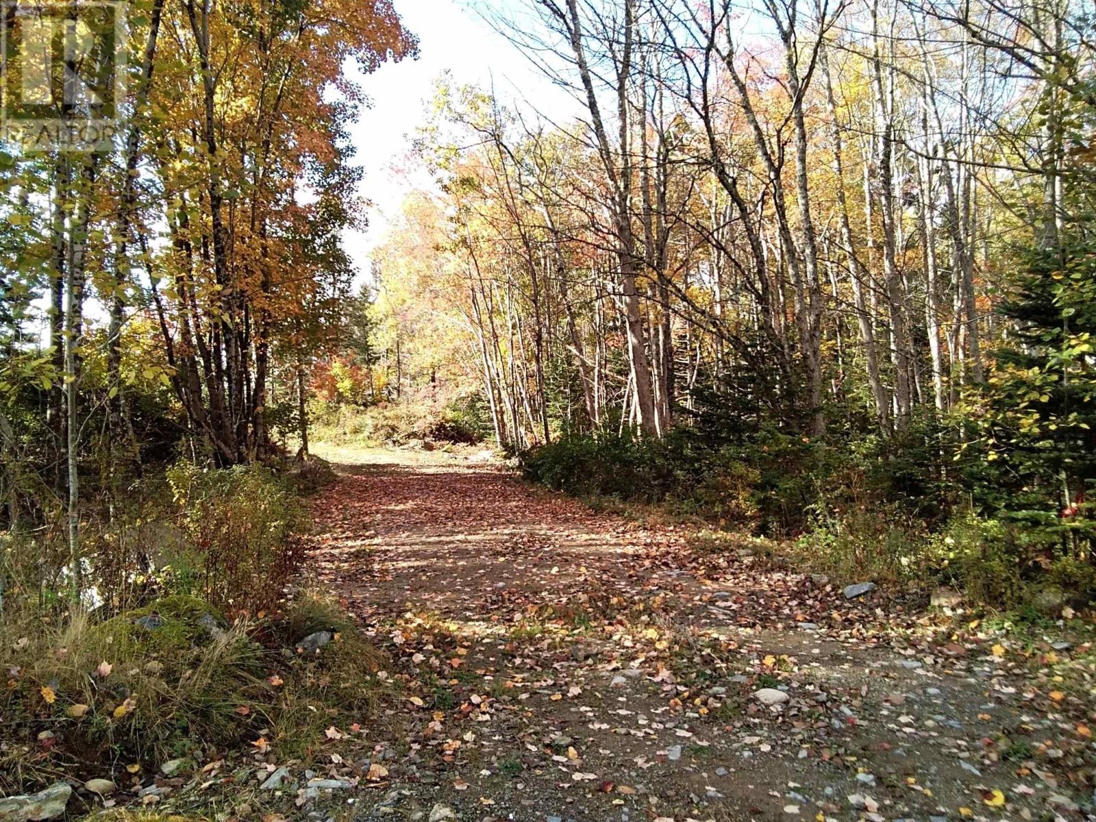 East Clifford Road, East Clifford, Nova Scotia  B4V 1Y7 - Photo 12 - 202424407