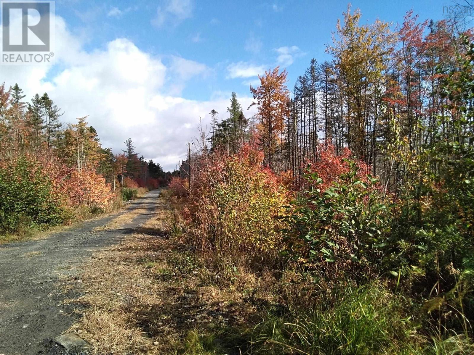 East Clifford Road, East Clifford, Nova Scotia  B4V 1Y7 - Photo 15 - 202424407