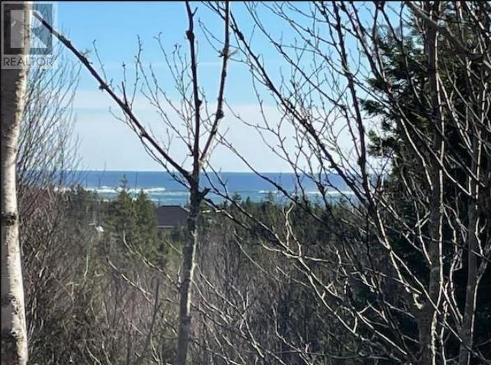 Lot B1-4 Saddle Island Road, Bayswater, Nova Scotia  B0J 1T0 - Photo 1 - 202424430