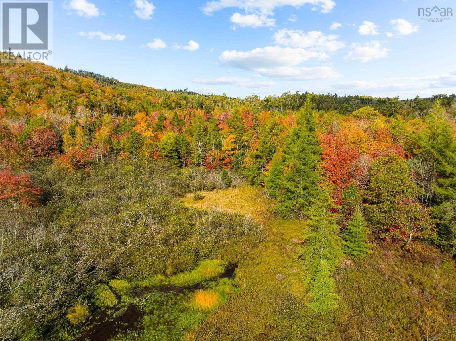 Lots Highway 357, Musquodoboit Harbour, Nova Scotia  B0J 2L0 - Photo 10 - 202424435