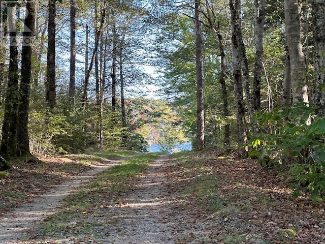 Lot 13 164 North Wrights Lake Road, Doucetteville, Nova Scotia  B0W 3T0 - Photo 15 - 202424458