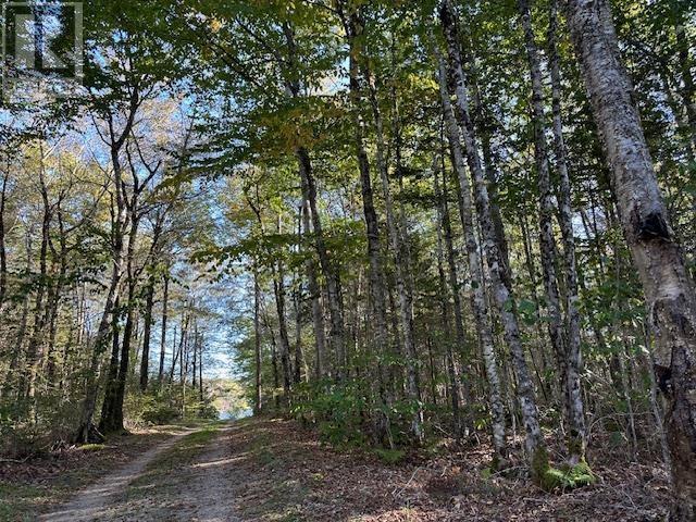 Lot 13 164 North Wrights Lake Road, Doucetteville, Nova Scotia  B0W 3T0 - Photo 16 - 202424458