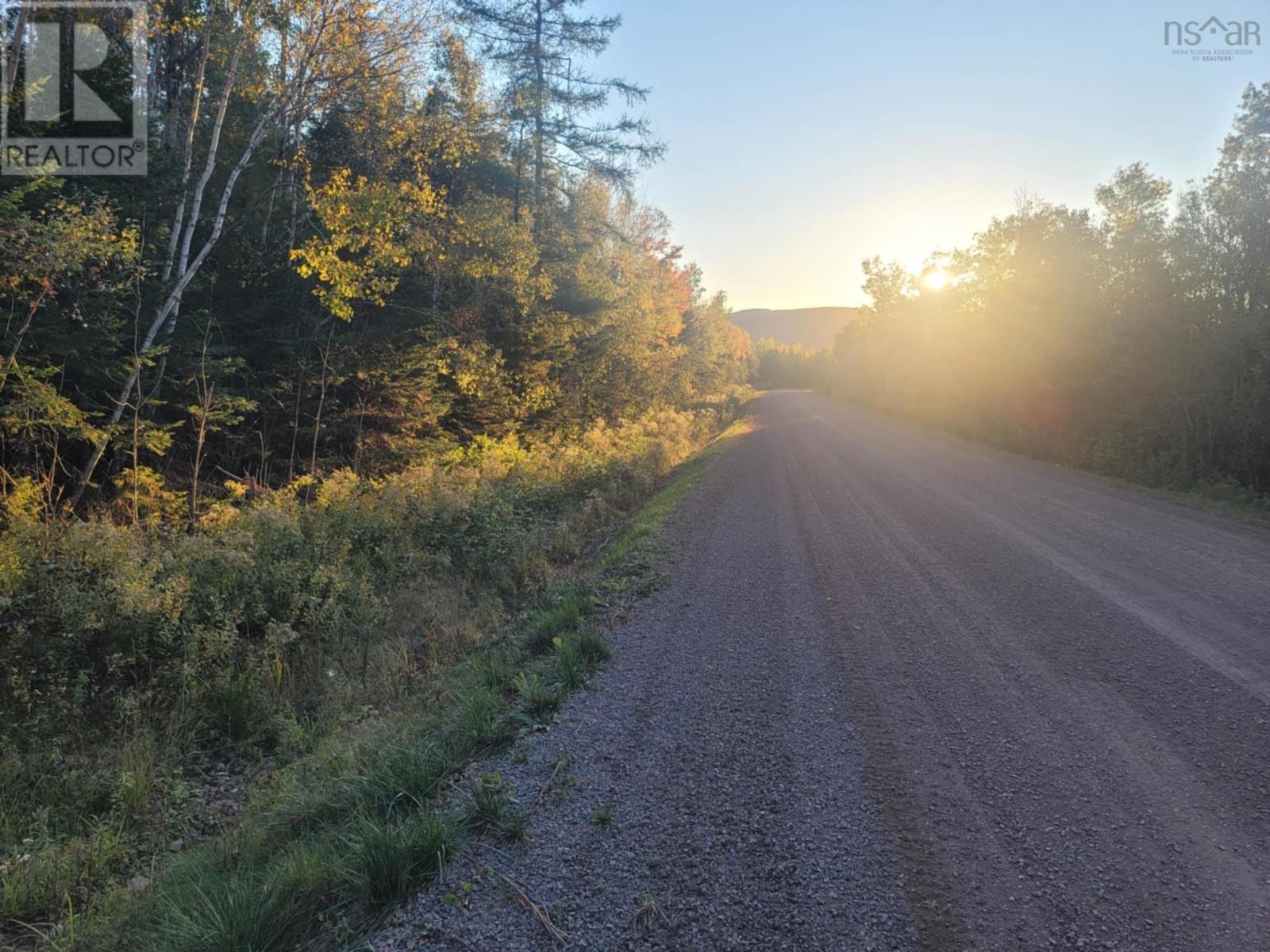 39 Acres Loganville Dalhousie Road, Dalhousie, Nova Scotia  B0K 1H0 - Photo 13 - 202424518