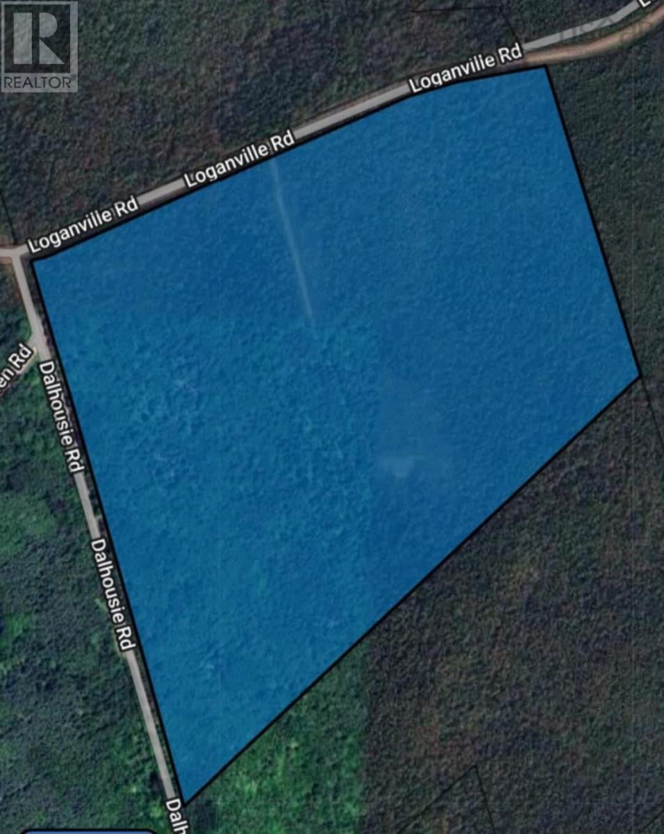 39 Acres Loganville Dalhousie Road, Dalhousie, Nova Scotia  B0K 1H0 - Photo 17 - 202424518