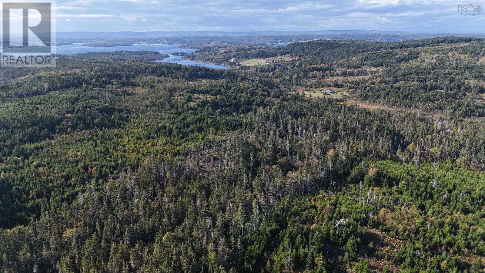 Lynches River Road, St. Peter's, Nova Scotia  B0E 3B0 - Photo 14 - 202424538