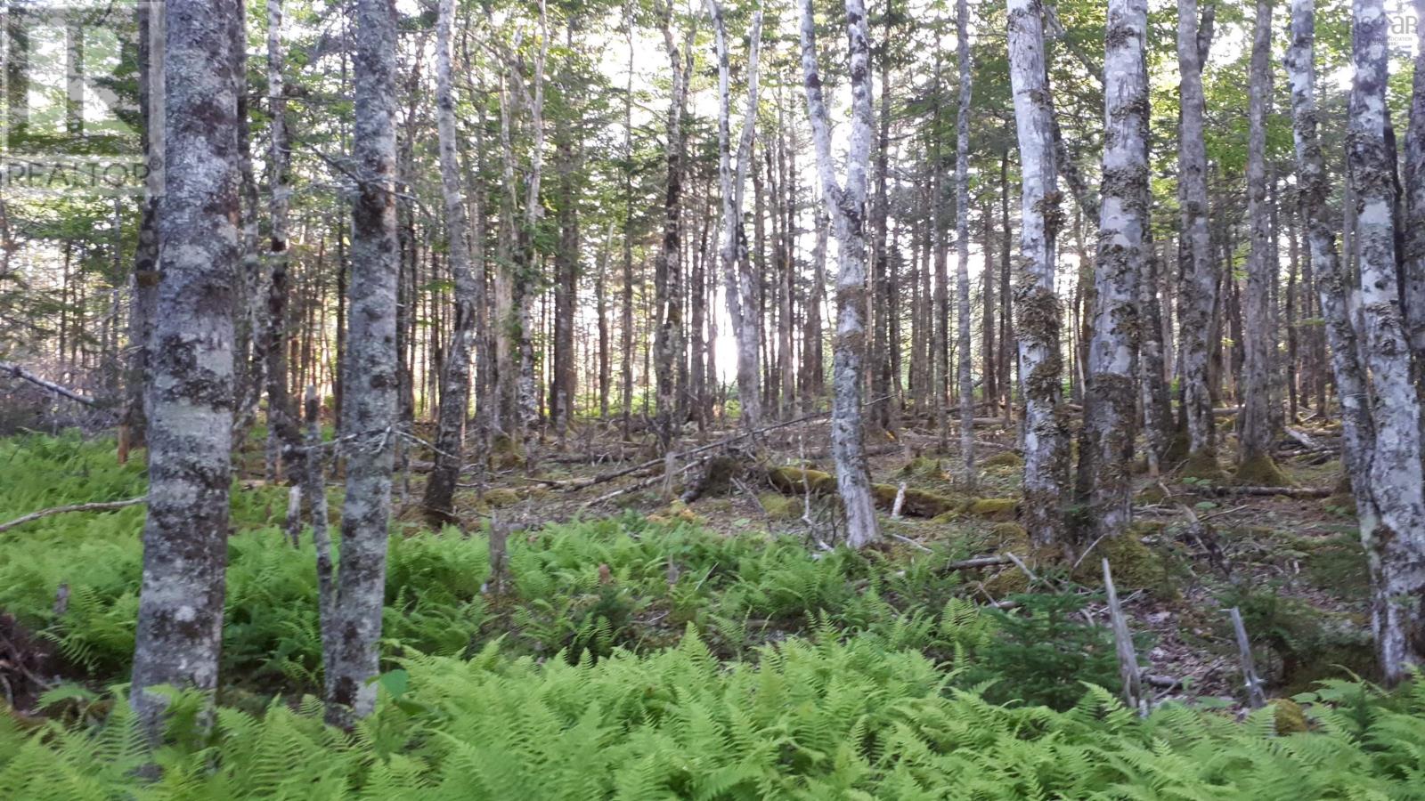 Lot 1a-79 Maple Dr, French Cove, Nova Scotia  B0E 3B0 - Photo 7 - 202424540