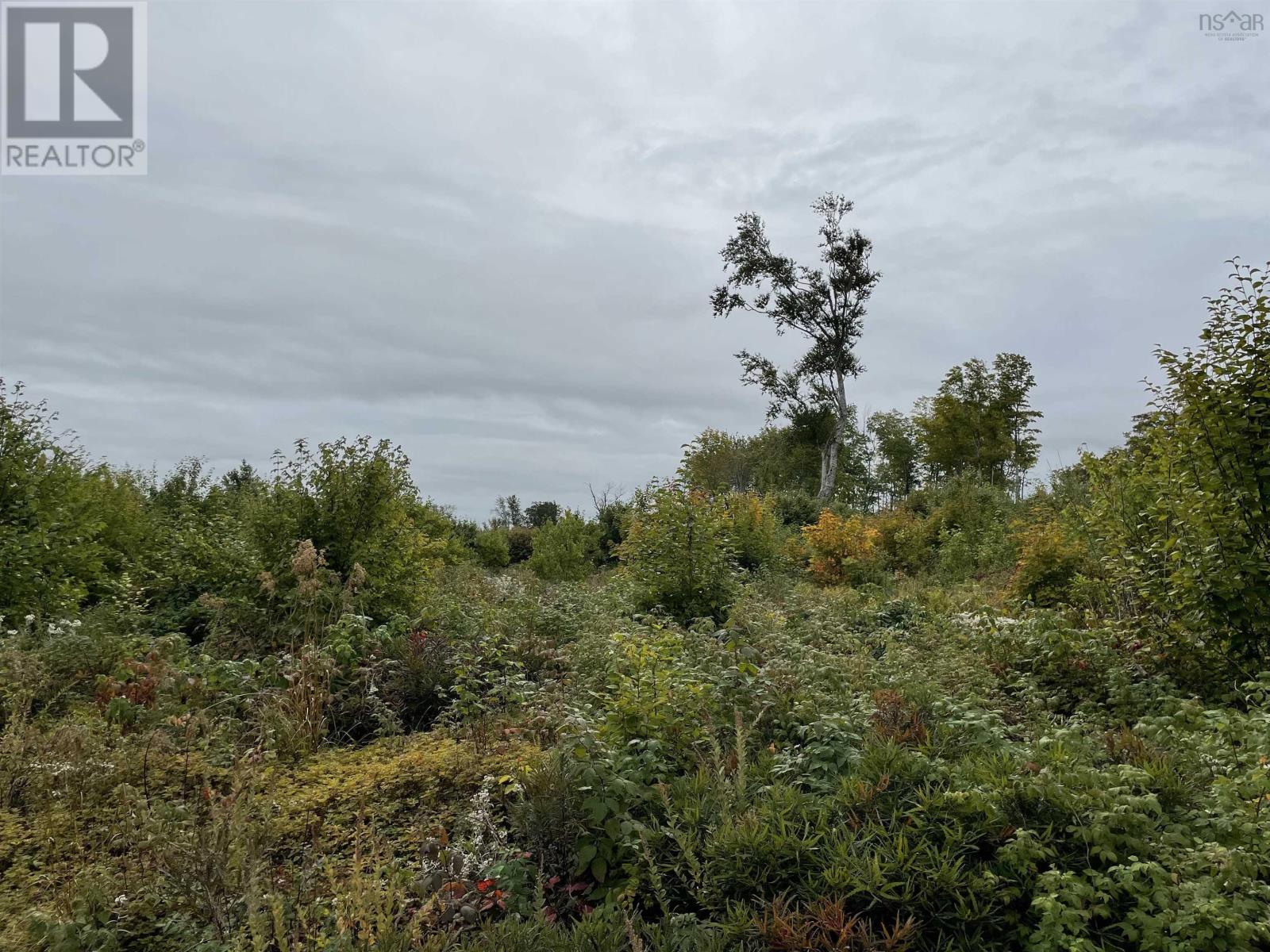 PID# 82550781 Lower Stave Lake, upper ohio, Nova Scotia