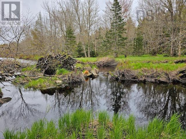 Lot 47 Bolivar Road, Waterloo, Nova Scotia  B4V 8L8 - Photo 2 - 202424615