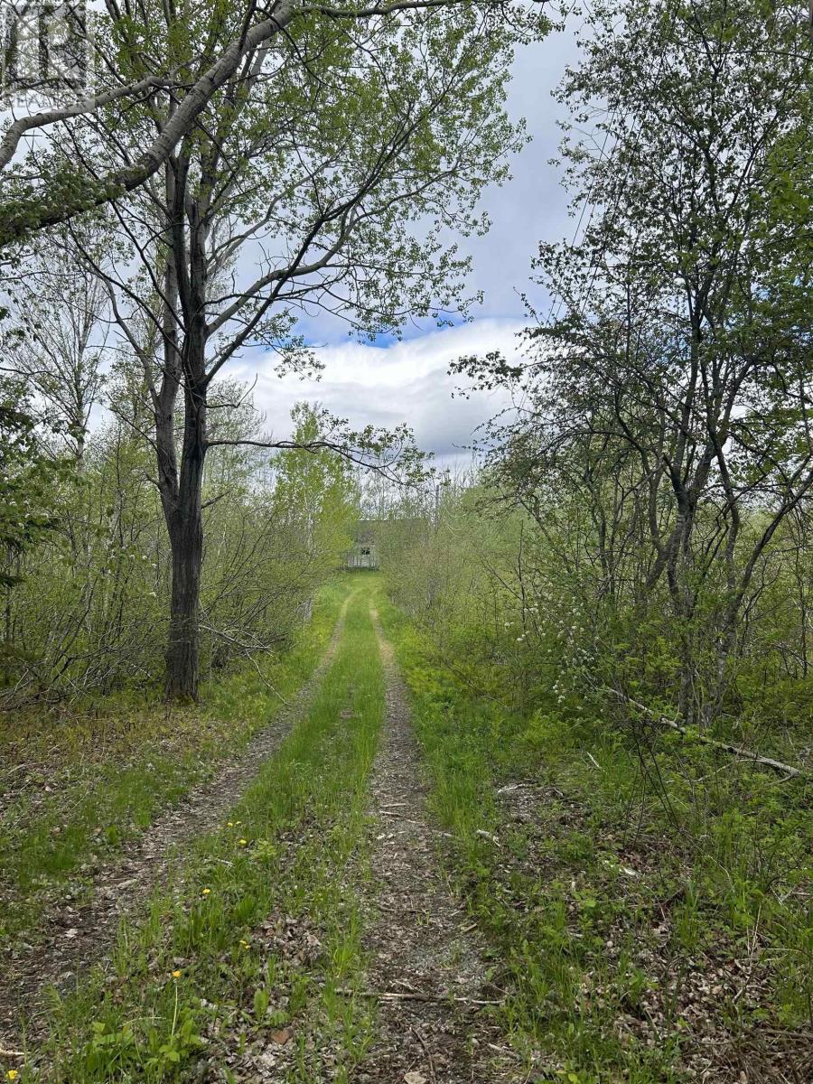 7984 East Bay Highway, Big Pond Centre, Nova Scotia  B1J 1Z4 - Photo 24 - 202424684