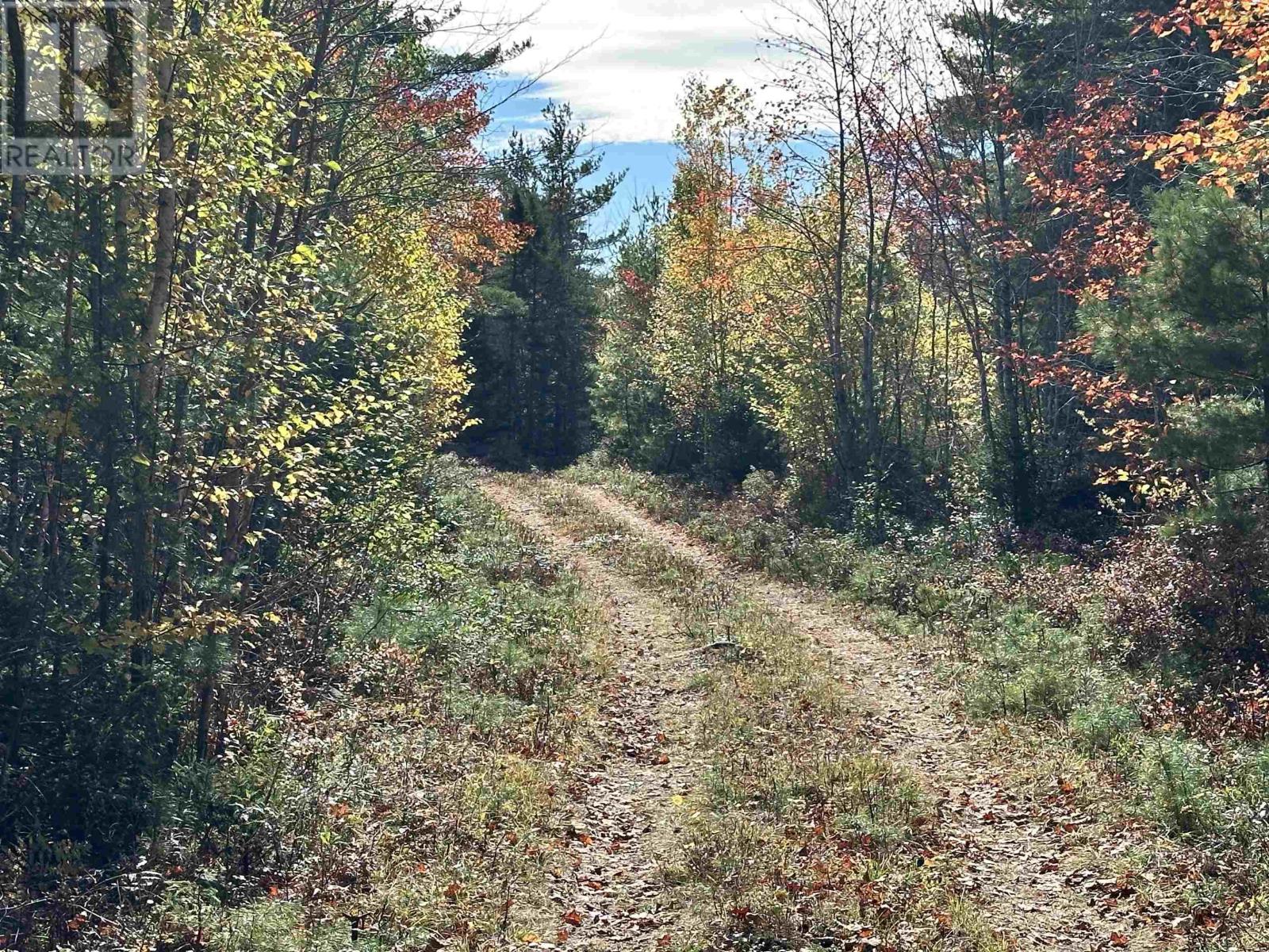 Lot 26 Medway River Road, Charleston, Nova Scotia  B0J 2H0 - Photo 3 - 202424736