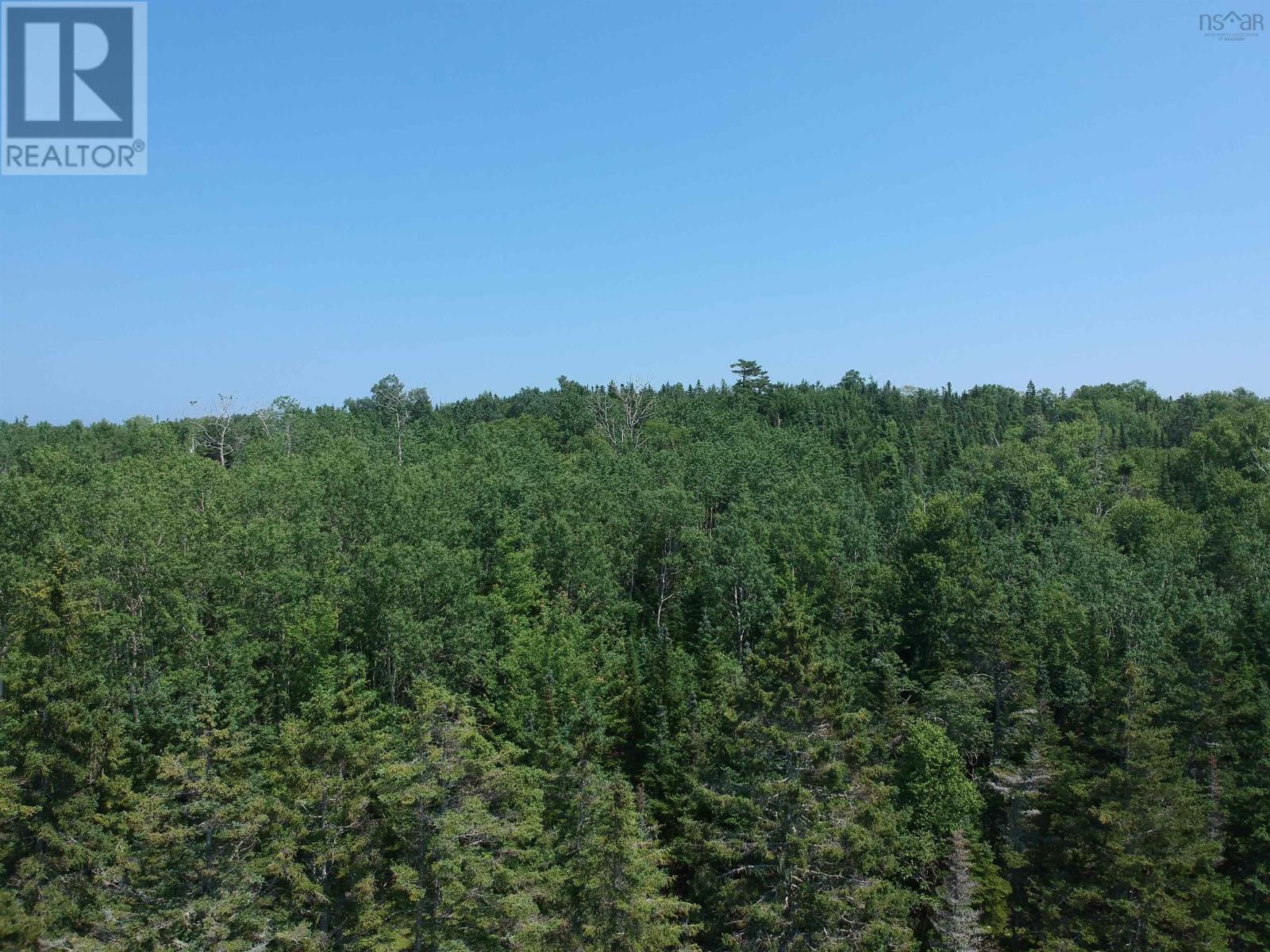 42ab Widow Point Loop, Inverness, Nova Scotia  B0E 1N0 - Photo 12 - 202424731