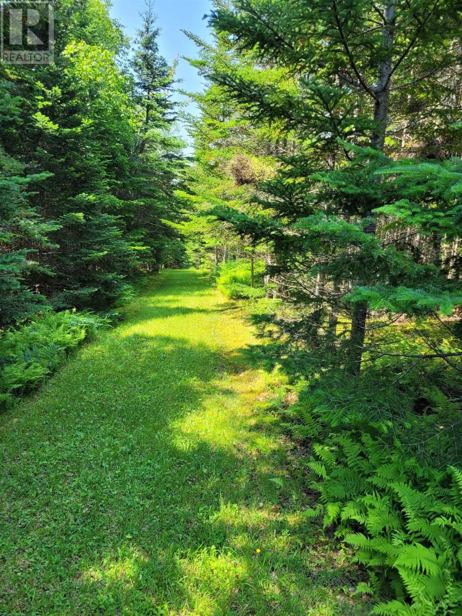 42ab Widow Point Loop, Inverness, Nova Scotia  B0E 1N0 - Photo 15 - 202424731