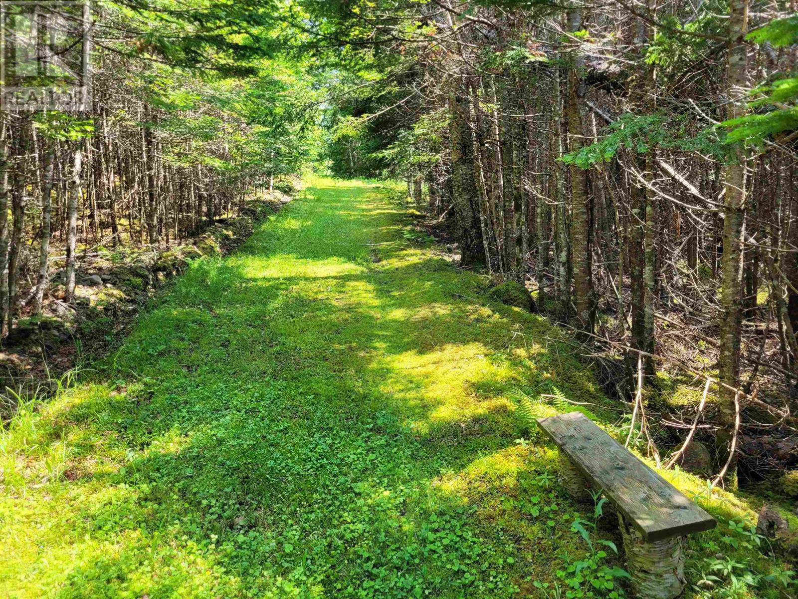 42ab Widow Point Loop, Inverness, Nova Scotia  B0E 1N0 - Photo 17 - 202424731