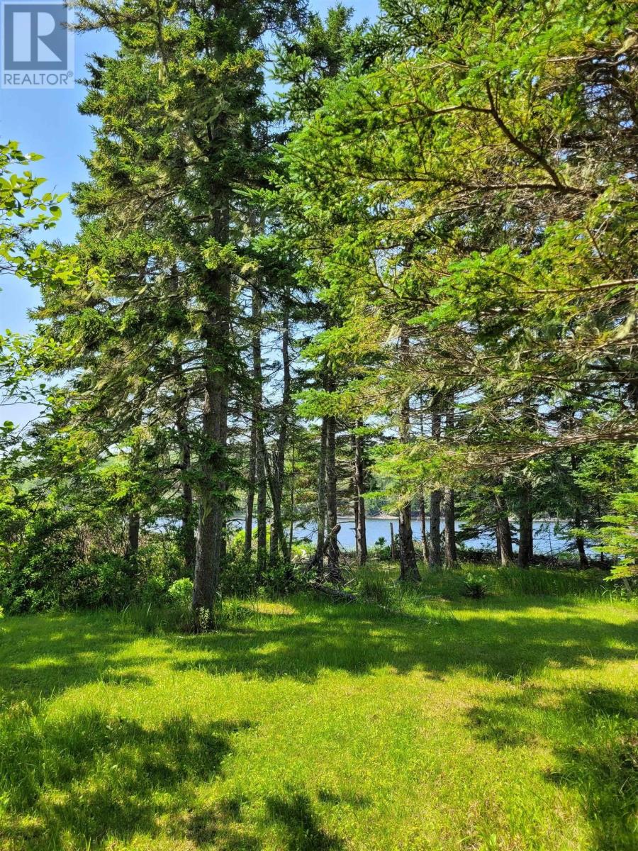 42ab Widow Point Loop, Inverness, Nova Scotia  B0E 1N0 - Photo 18 - 202424731