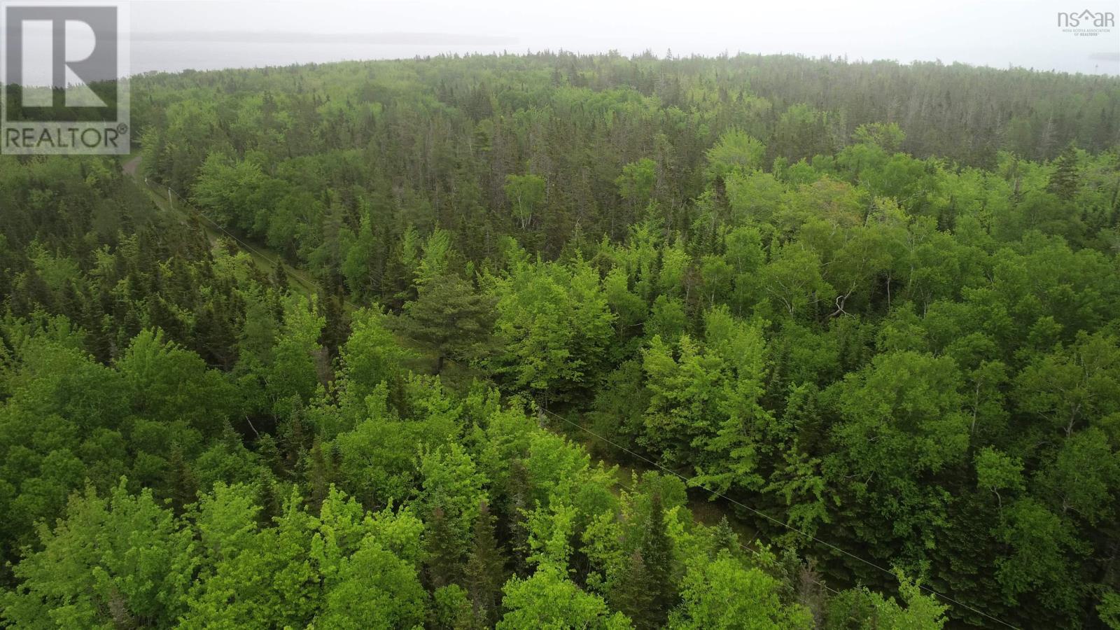 41a Widow Point Loop, Inverness, Nova Scotia  B0E 1N0 - Photo 3 - 202424732