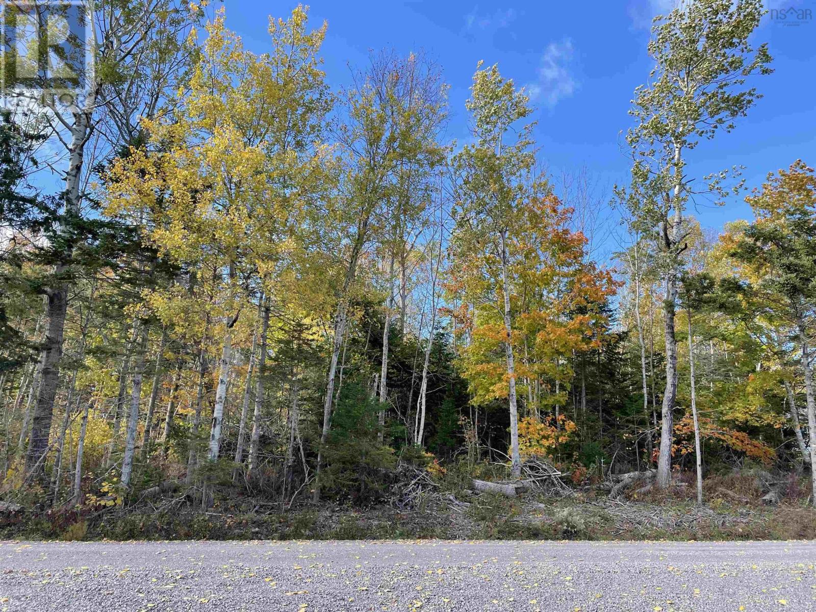 0.514 Acre Lot Owen Road, Hardwood Hill, Nova Scotia  B0K 1R0 - Photo 2 - 202424749