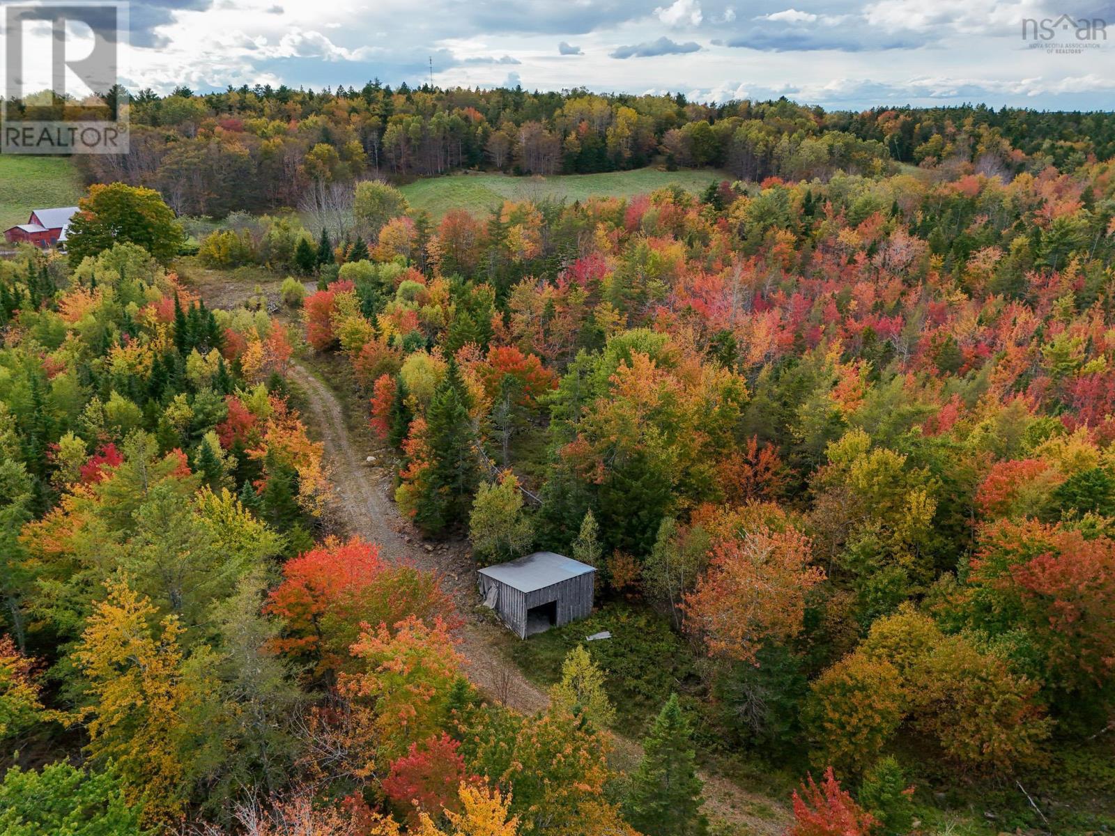 63 Frank Road, Italy Cross, Nova Scotia  B4V 0M6 - Photo 36 - 202424780