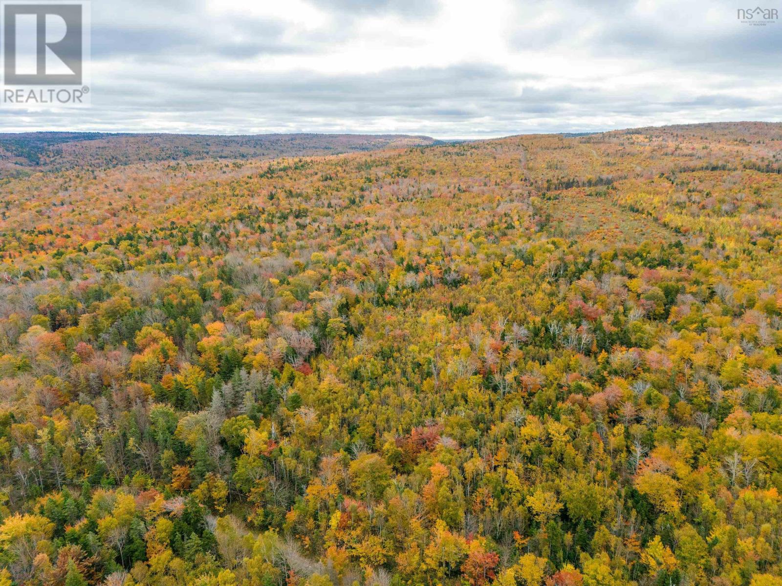 Lot Shore Road W, Delaps Cove, Nova Scotia  B0S 1A0 - Photo 12 - 202424778