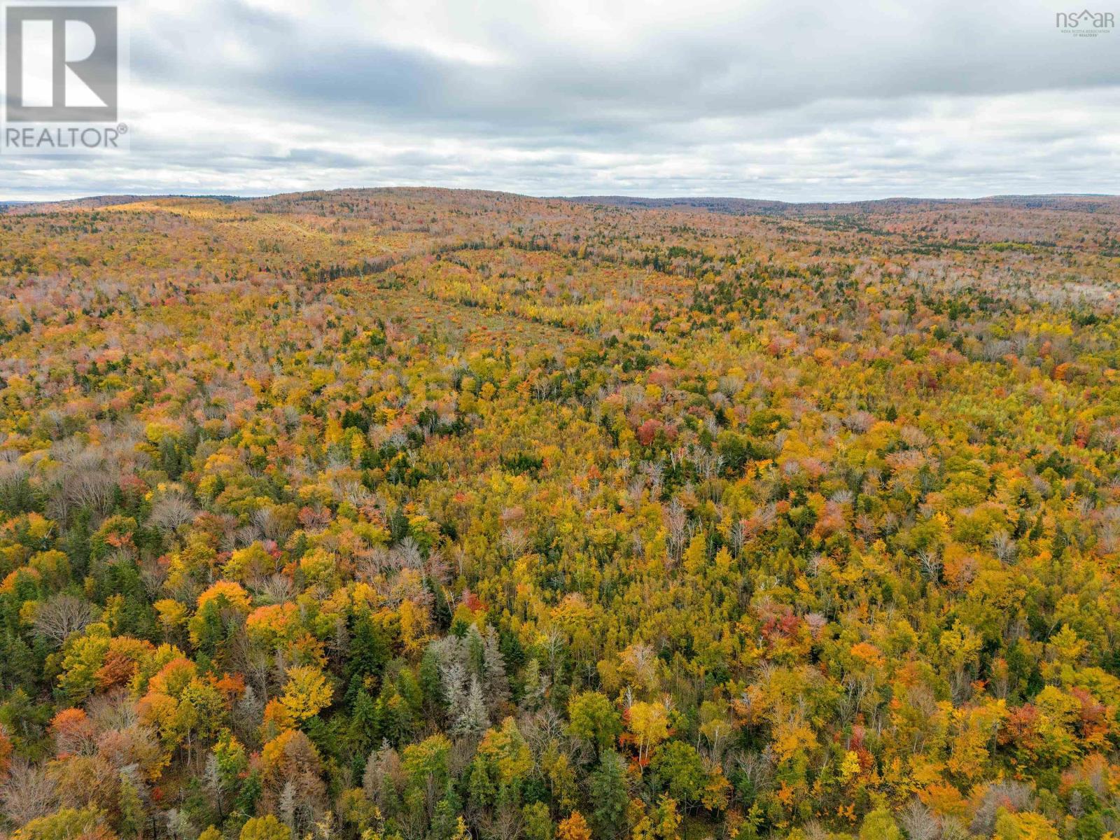 Lot Shore Road W, Delaps Cove, Nova Scotia  B0S 1A0 - Photo 13 - 202424778