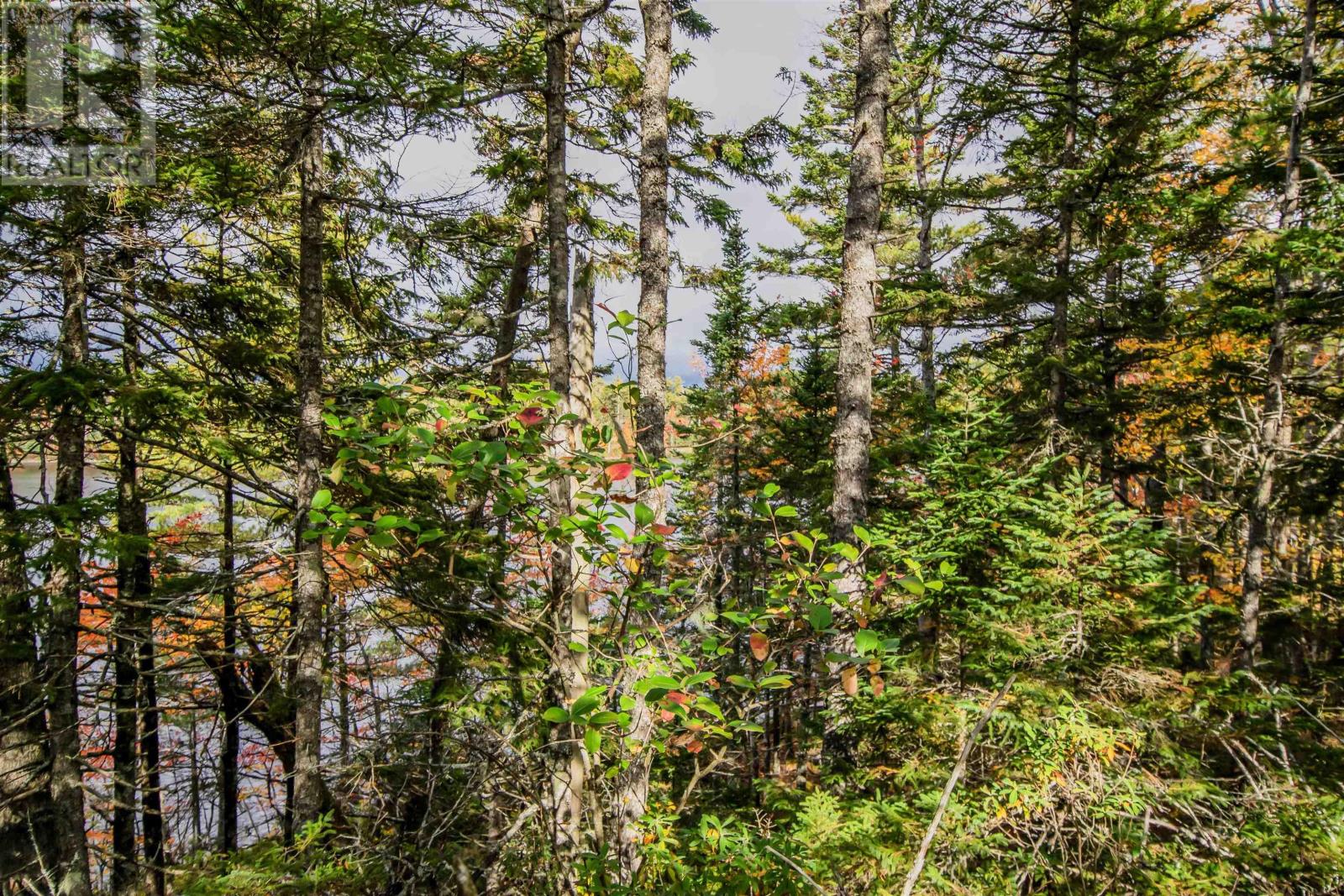 Lot 44 Meek Arm Trail, East Uniacke, Nova Scotia  B0N 1Z0 - Photo 6 - 202424820